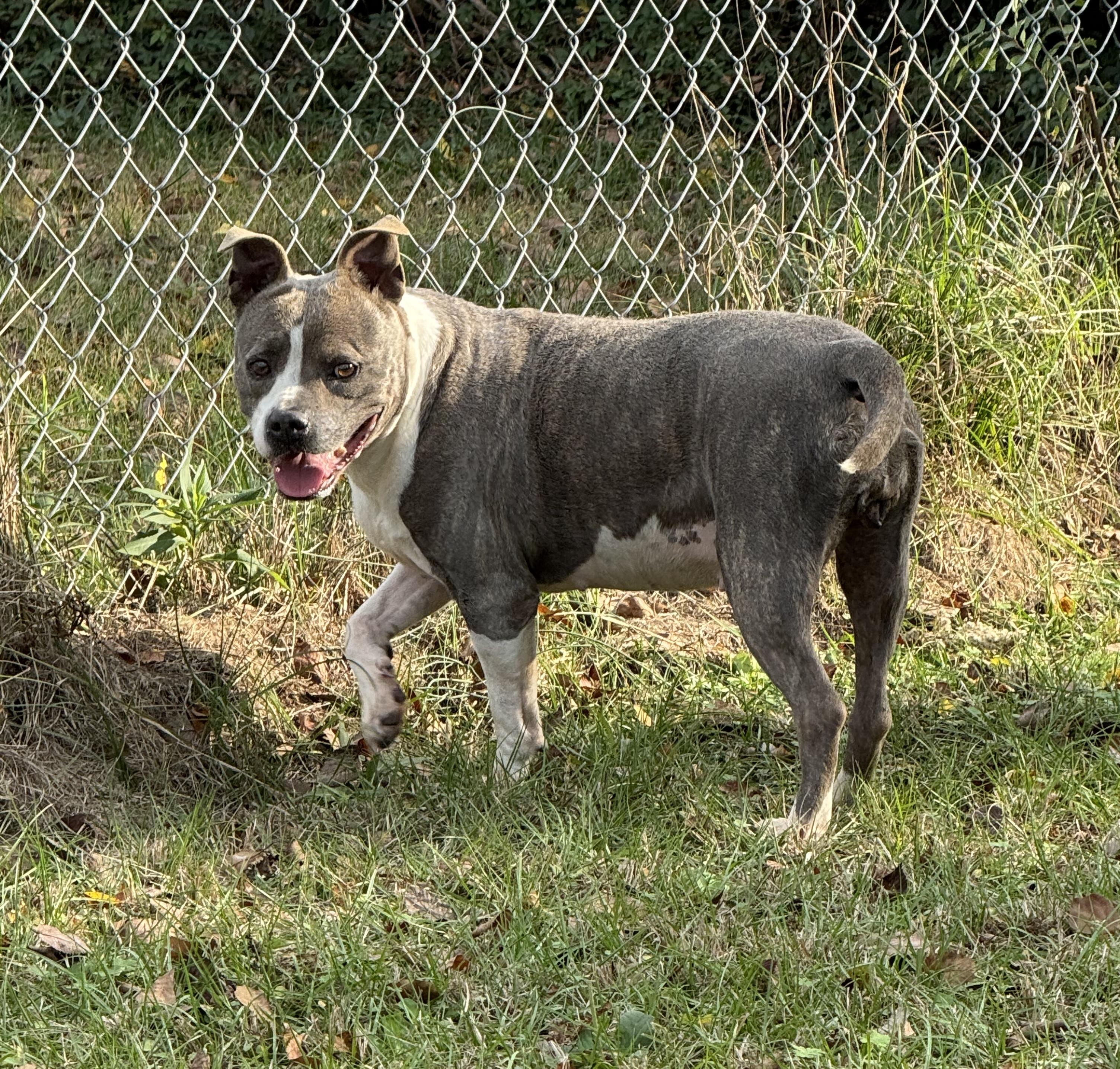 Princess — thumbnail 2