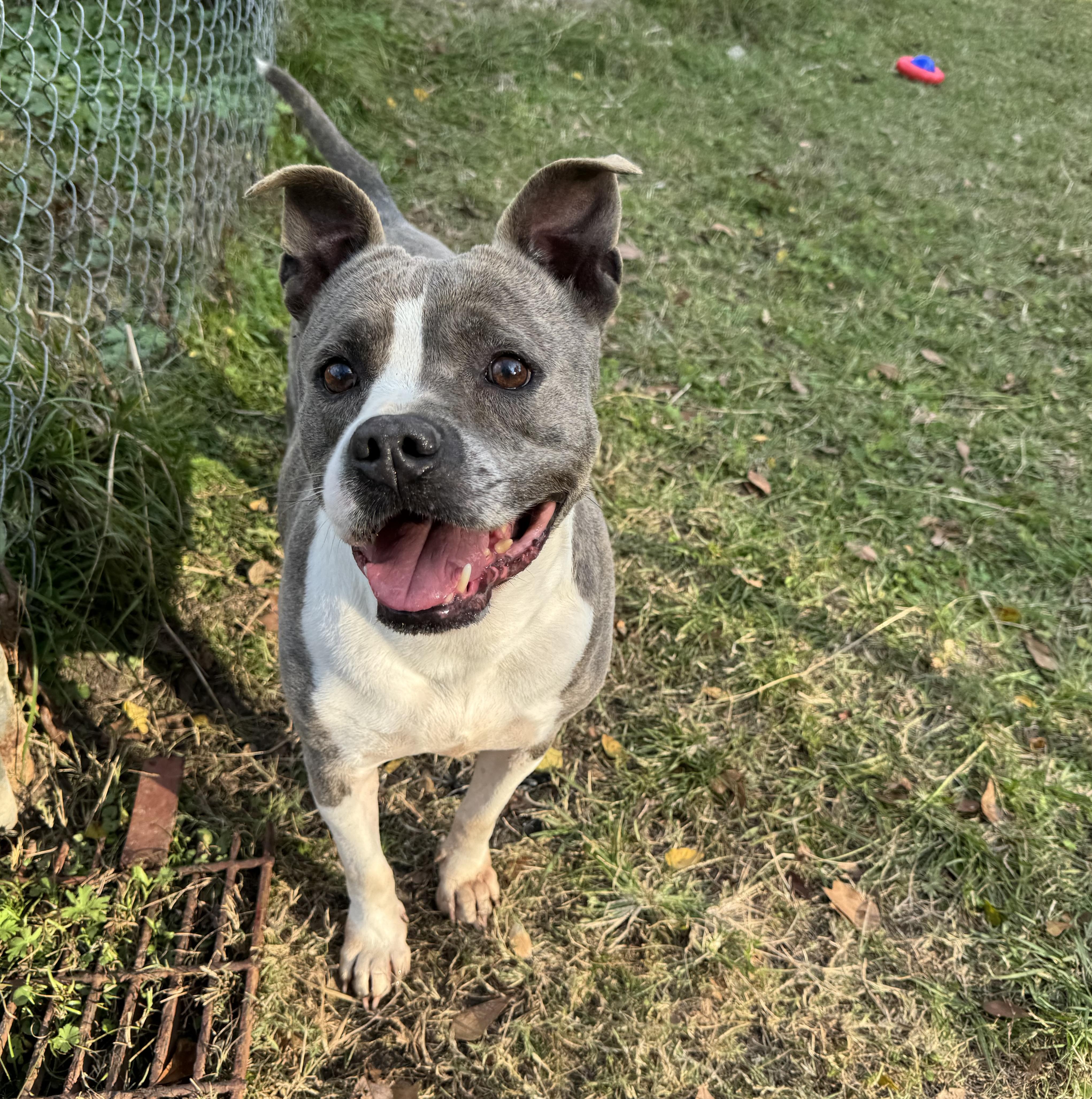 Princess — thumbnail 3