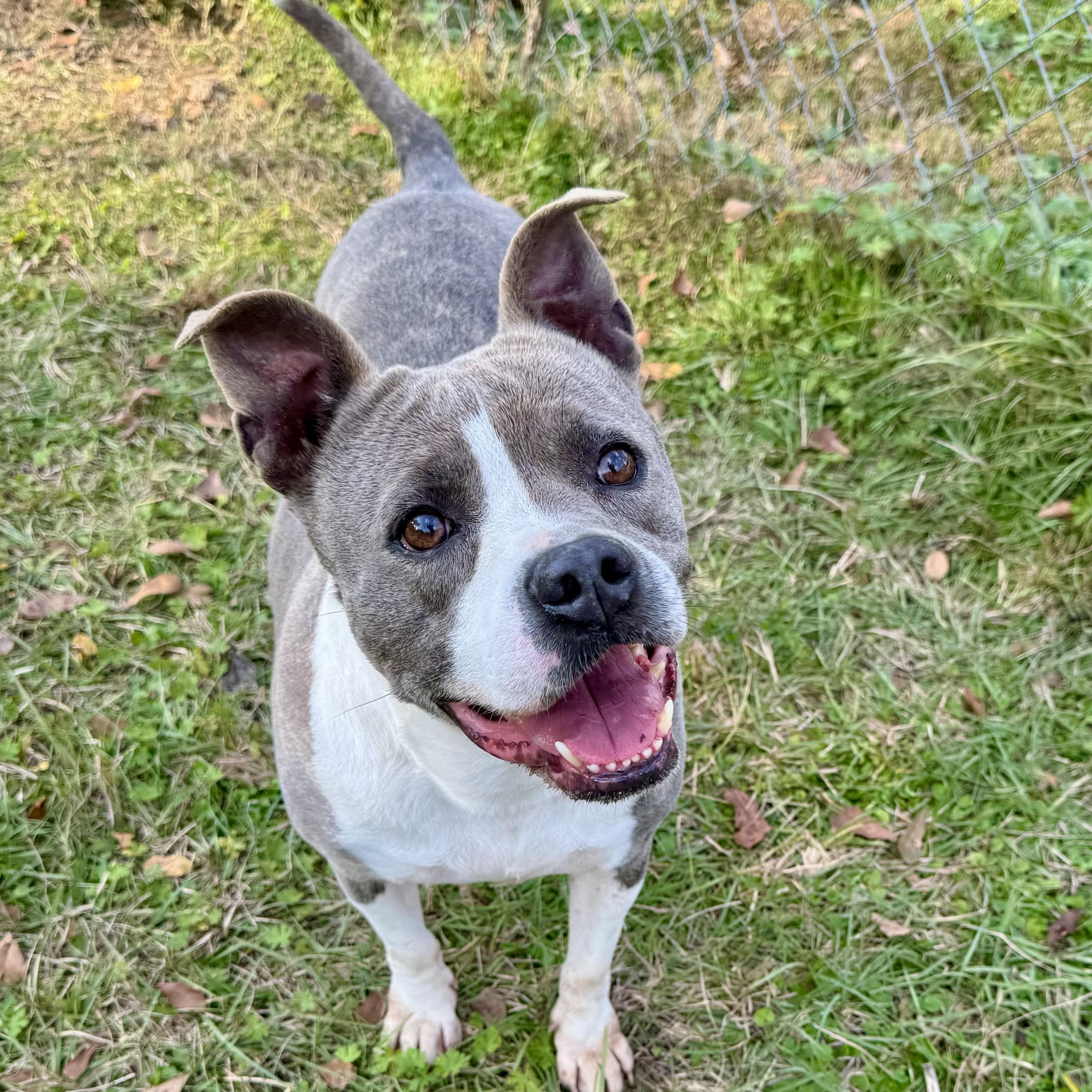 Princess — thumbnail 4