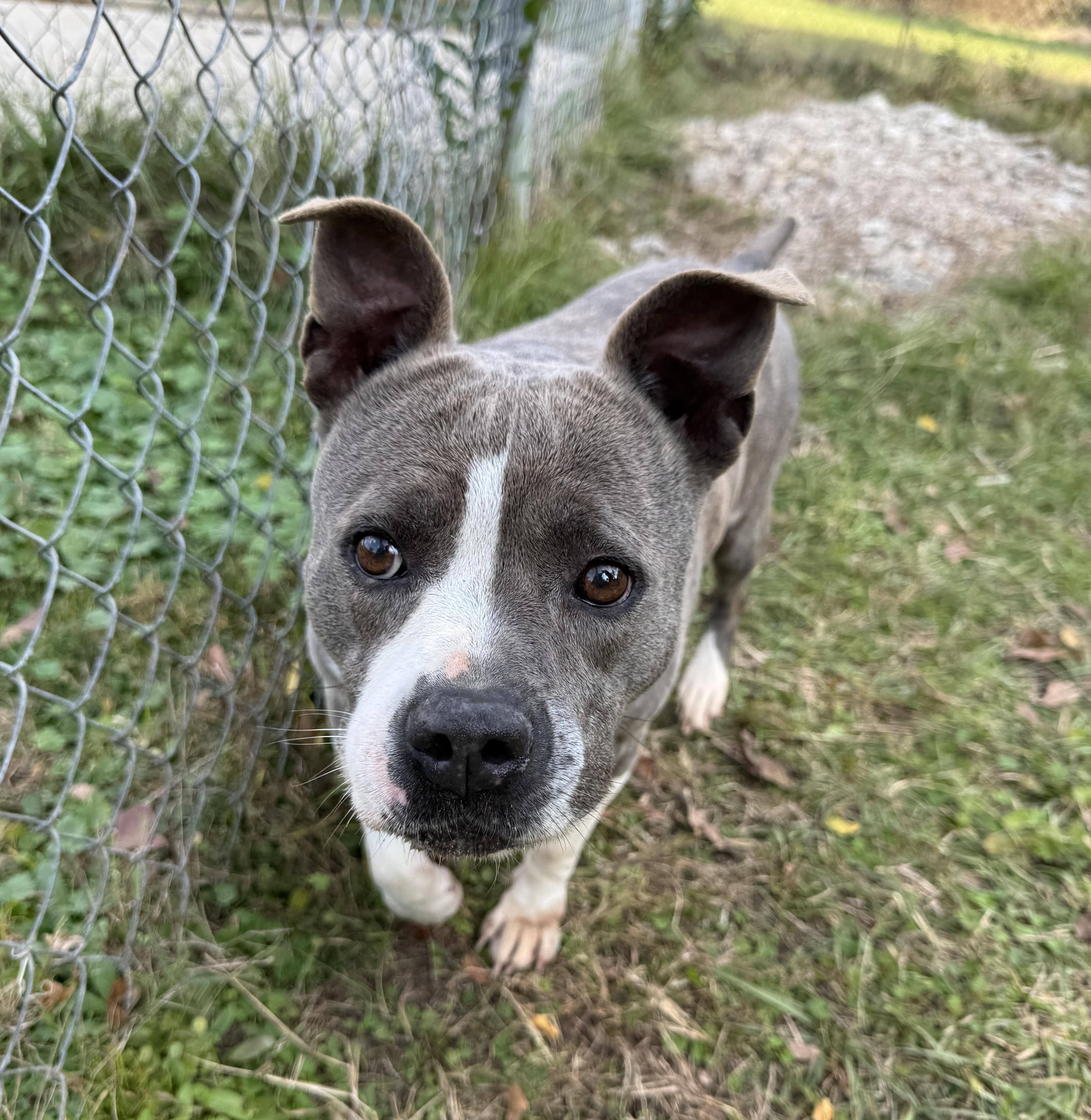 Princess — thumbnail 5