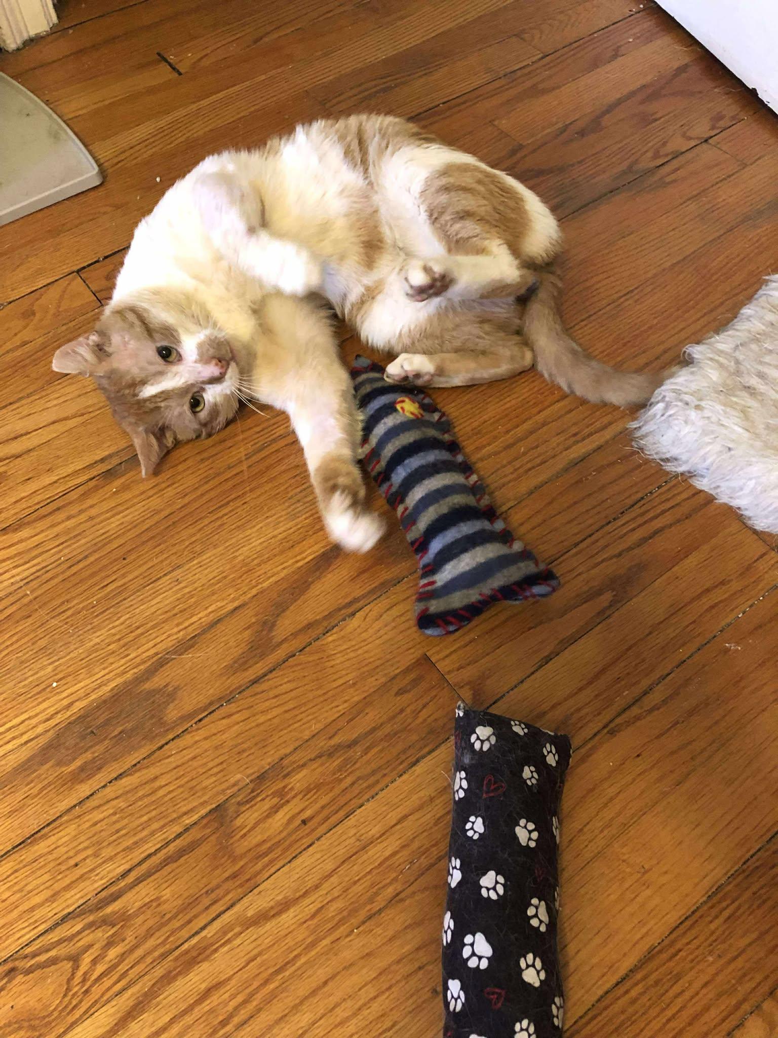 Charlie 6