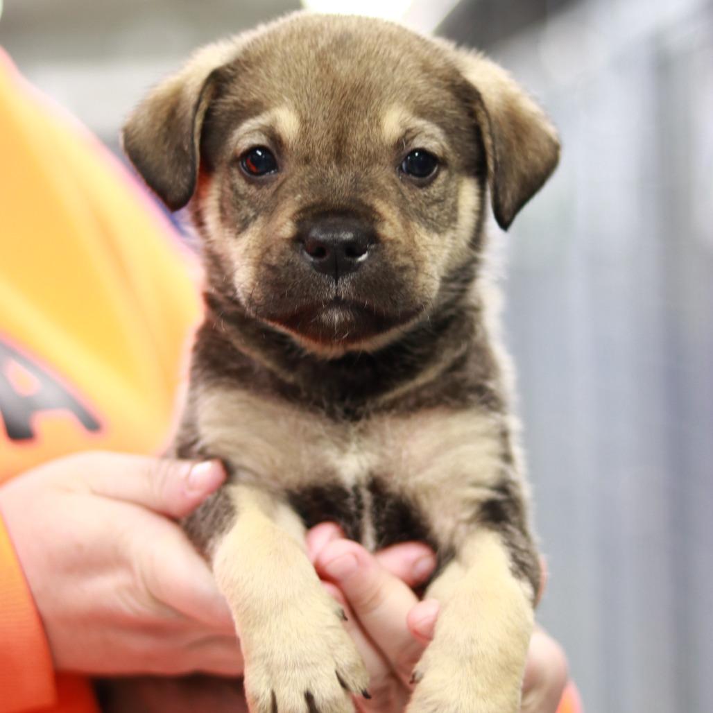 Ct Burnout Avail Feb thumbnail 2