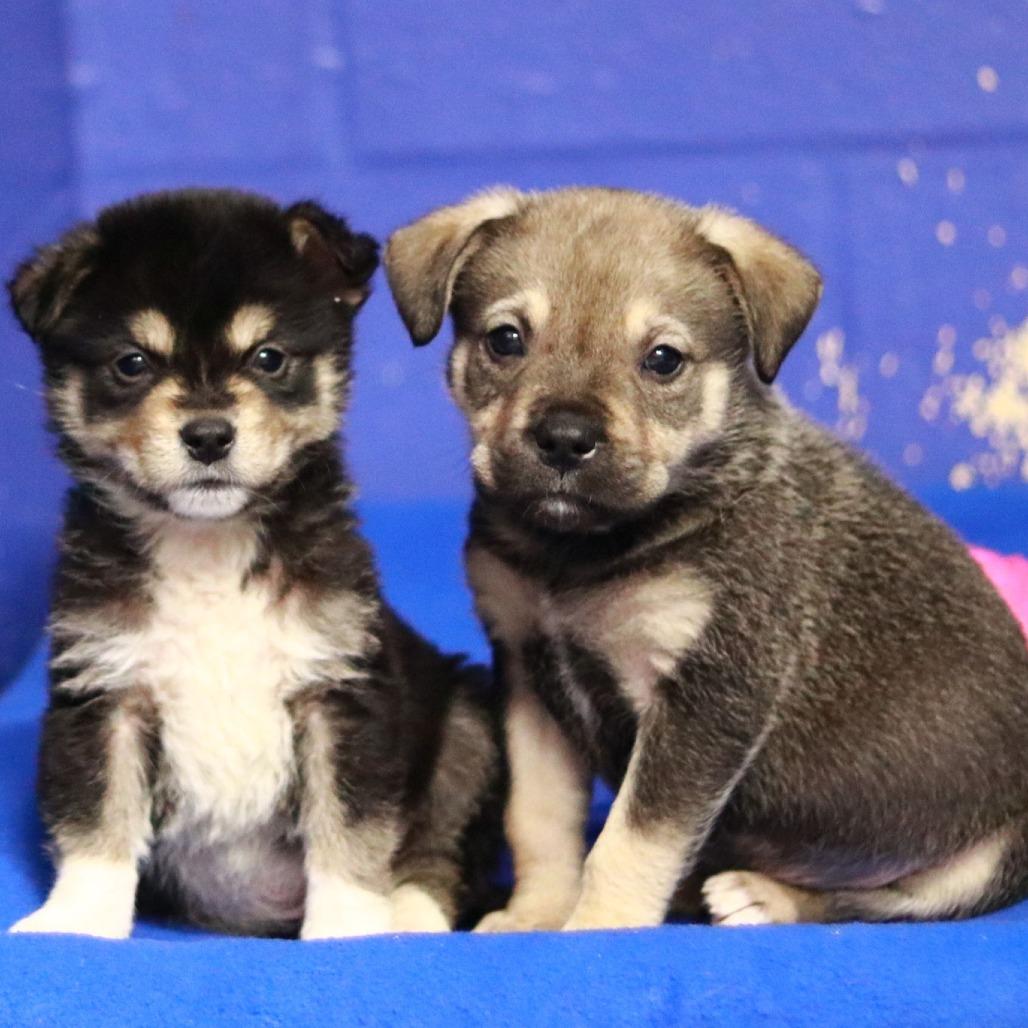 Ct Burnout Avail Feb thumbnail 5