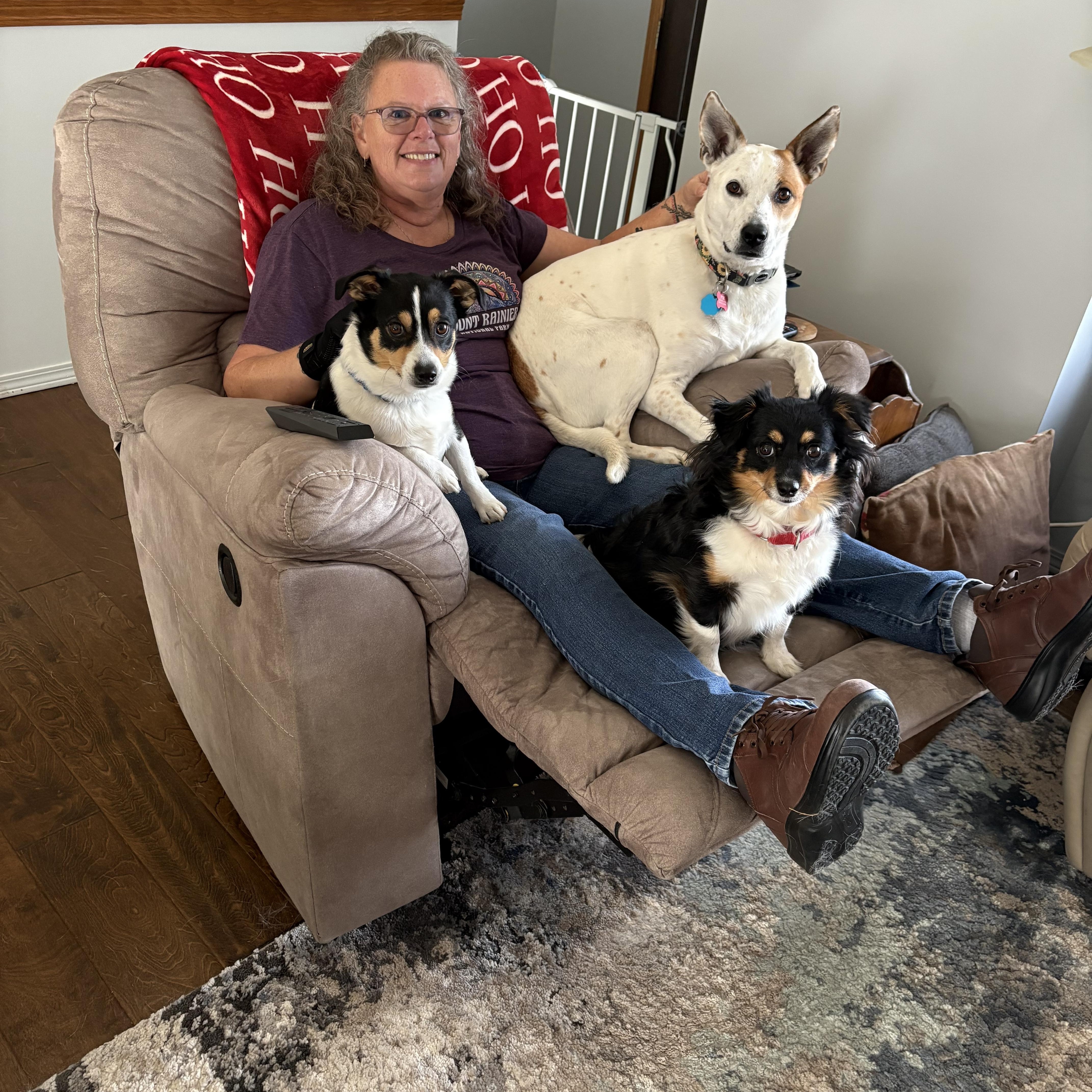 Sassy, a ADOPTABLE mixed breed in Valley Center, KS image 2/6