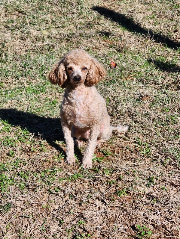Benny