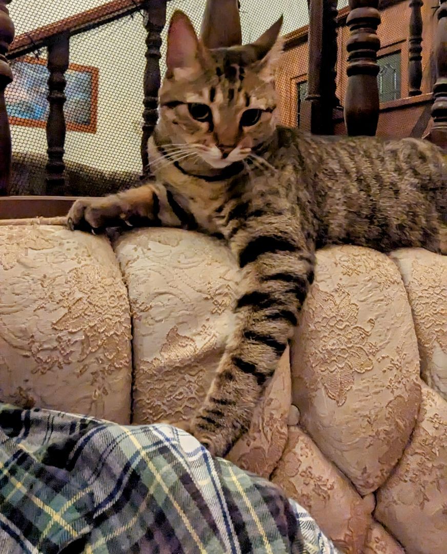 Ivan photo 4