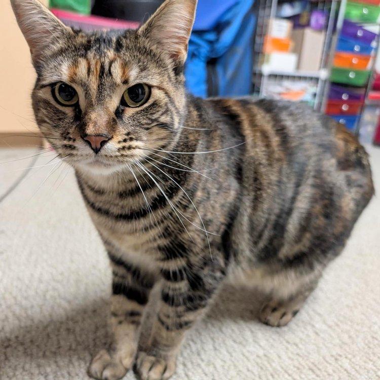 DeeDee & Siouxie — thumbnail 3