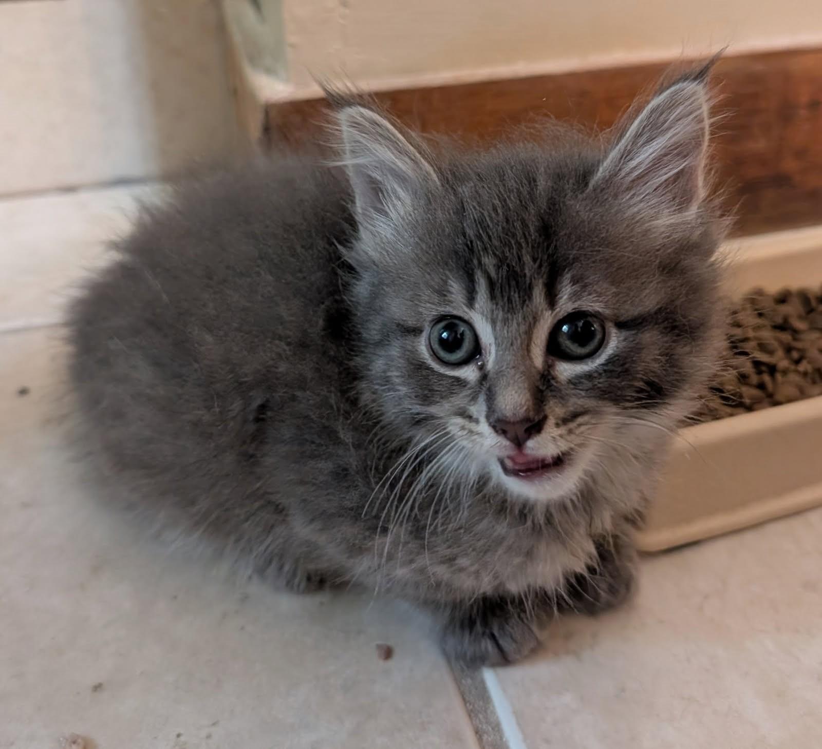 MoonBeam             (Bonded to Astro)