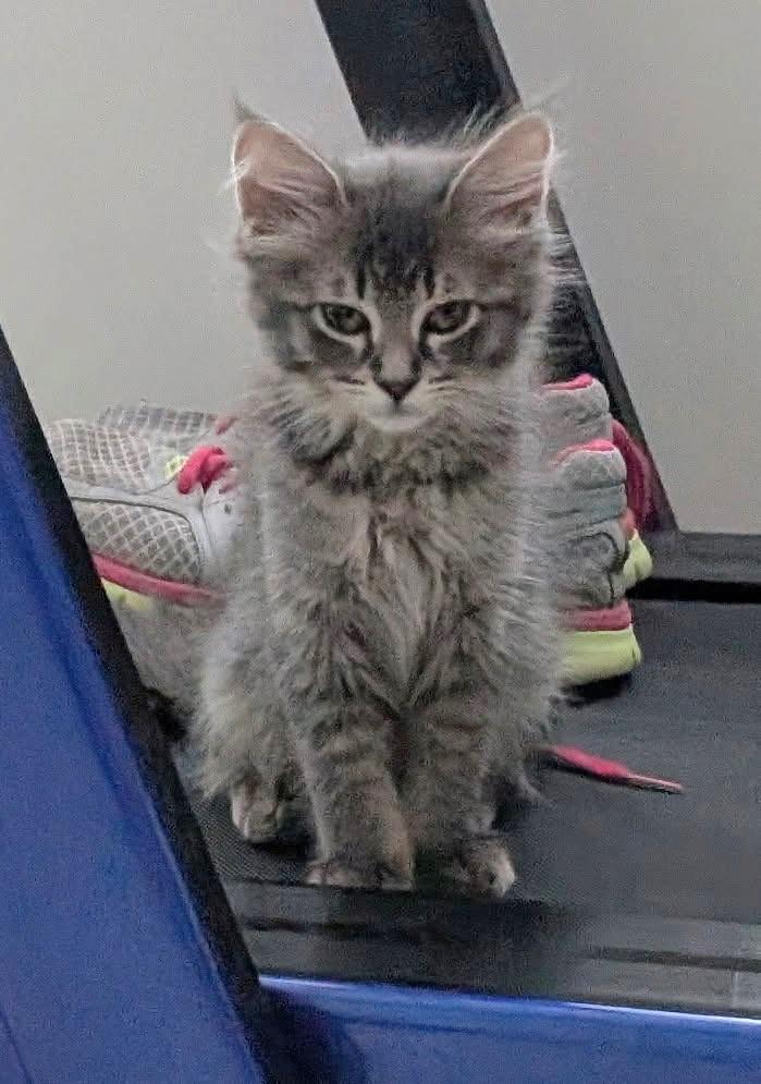 MoonBeam             (Bonded to Astro)