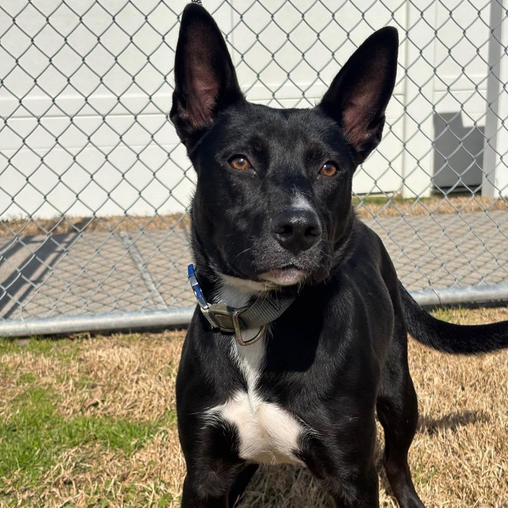 Whitney — thumbnail 2