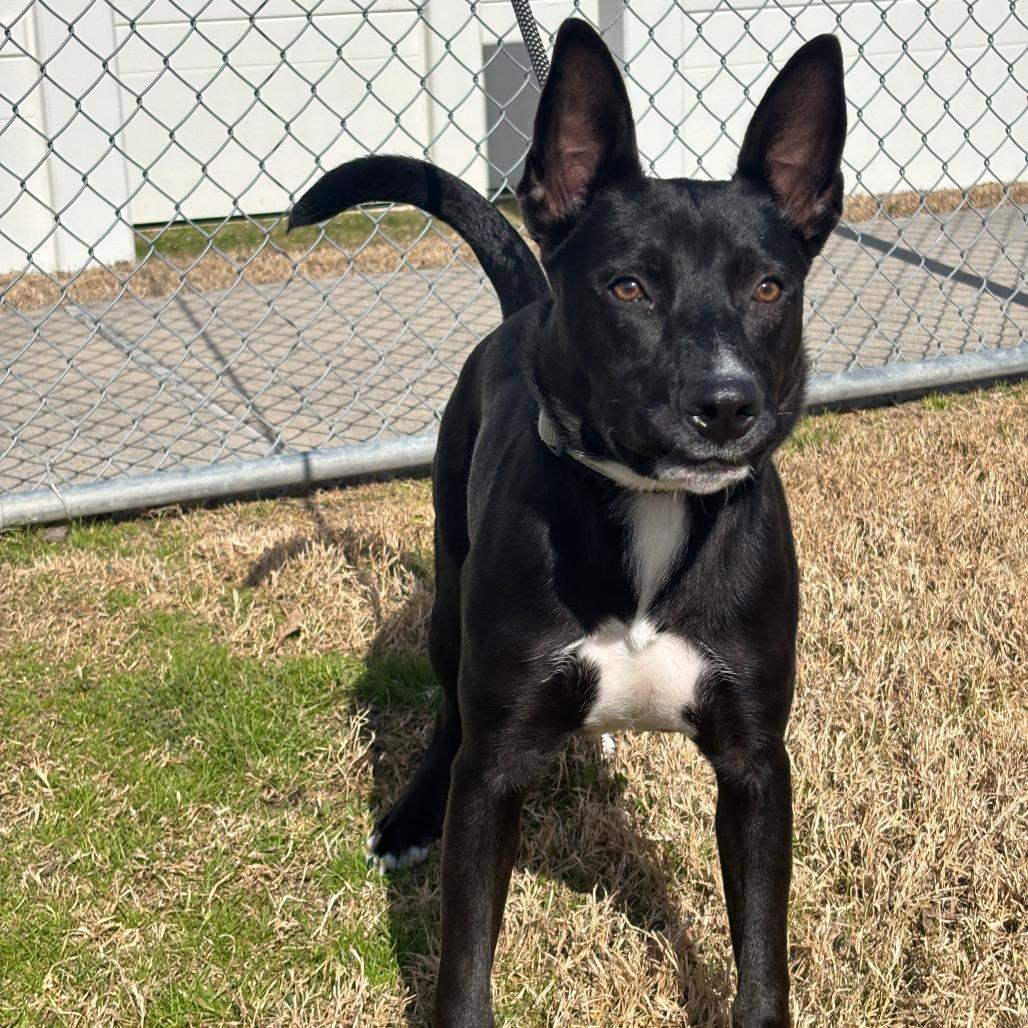 Whitney — thumbnail 3