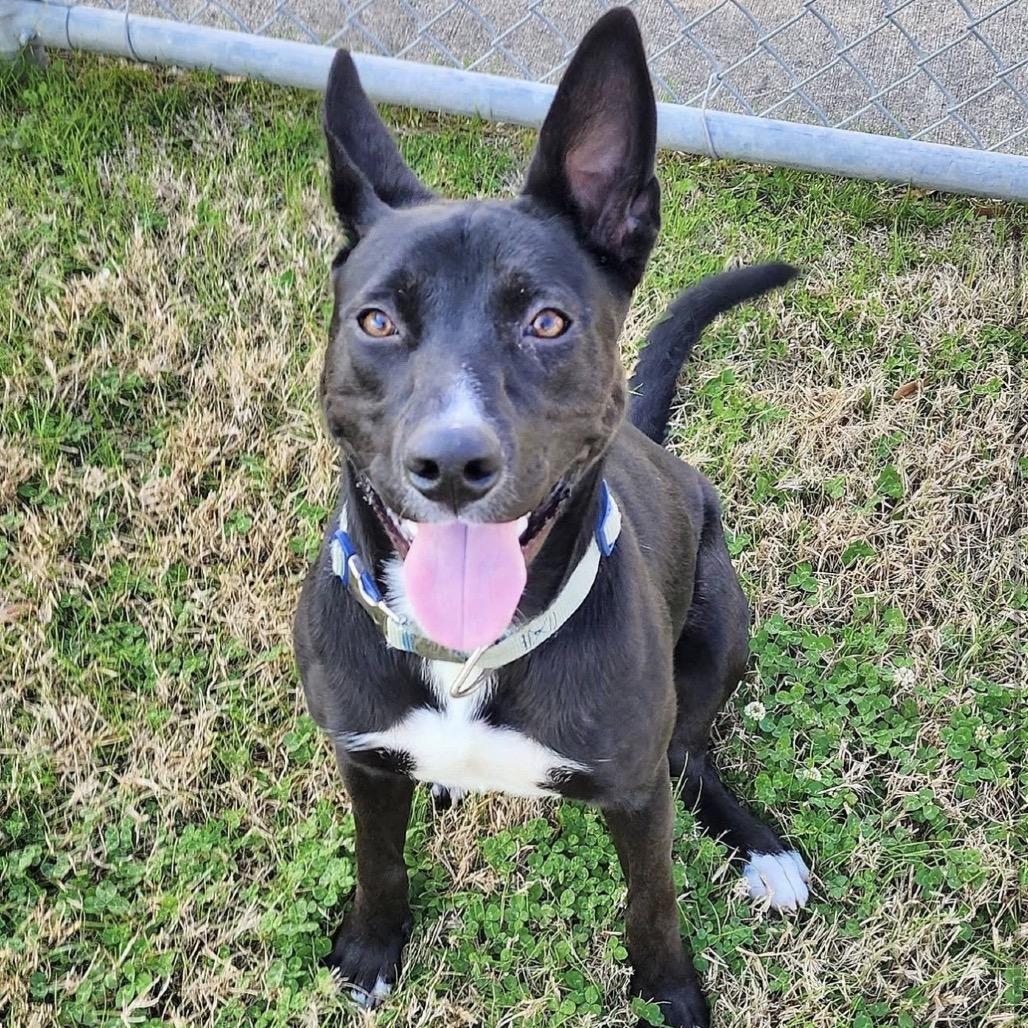 Whitney — thumbnail 4