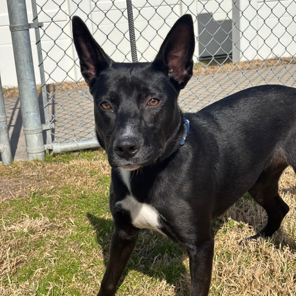 Whitney — thumbnail 5