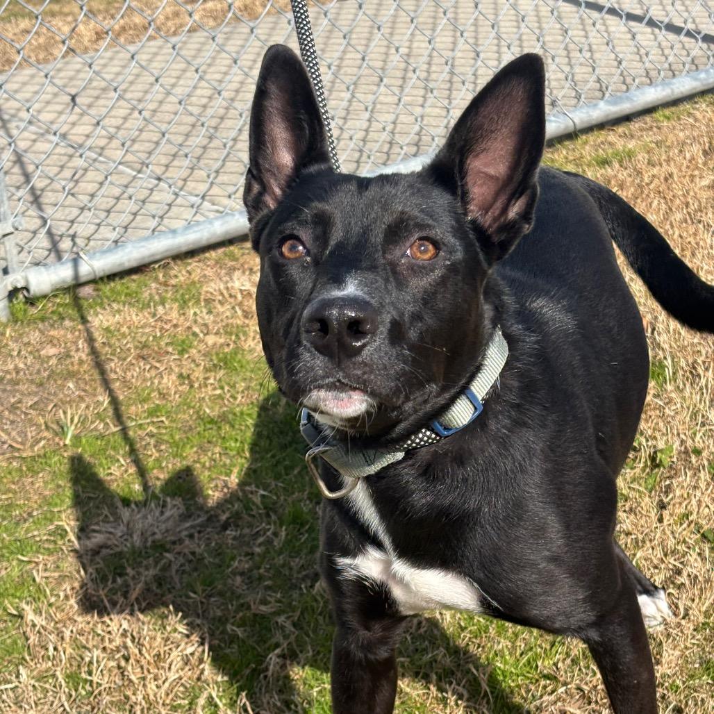 Whitney — thumbnail 6