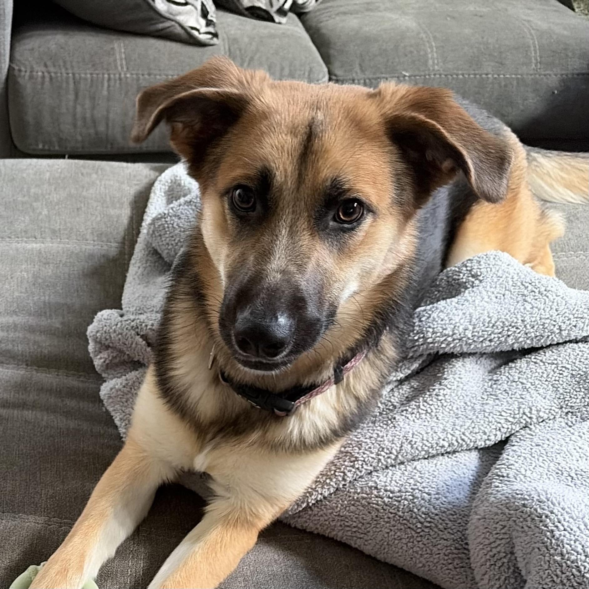 Kona photo