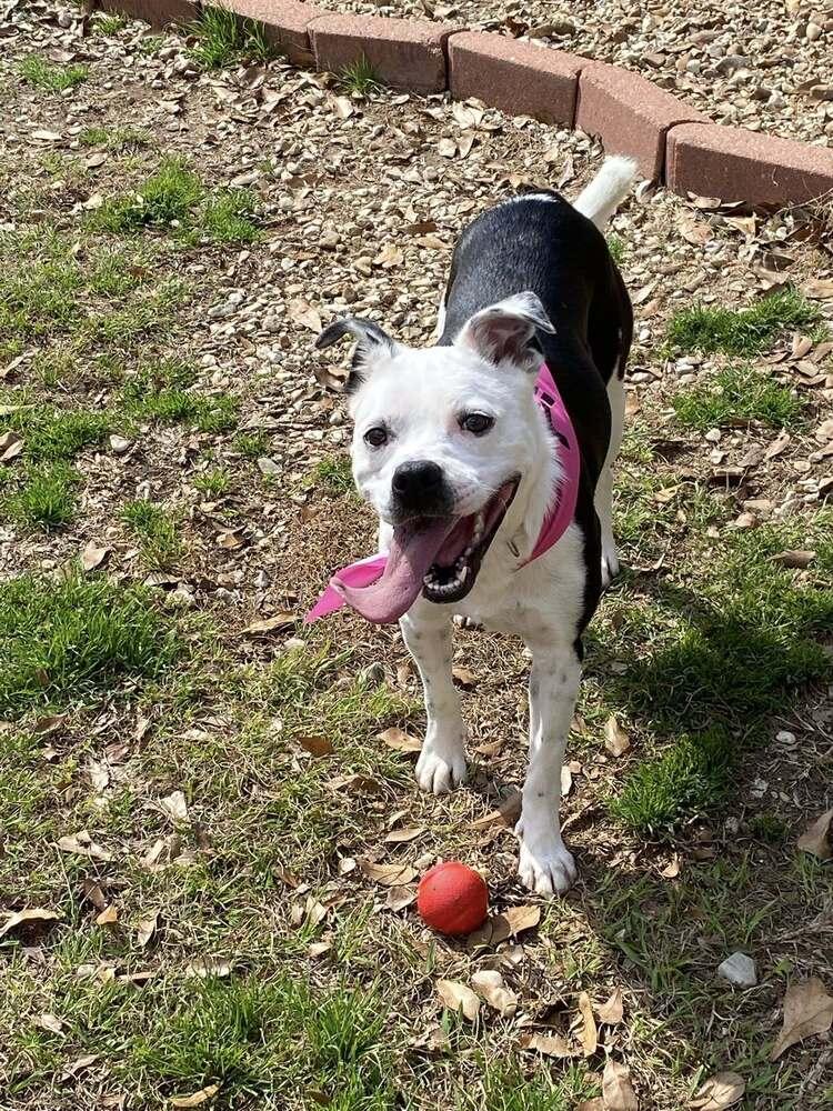 Luna — thumbnail 2