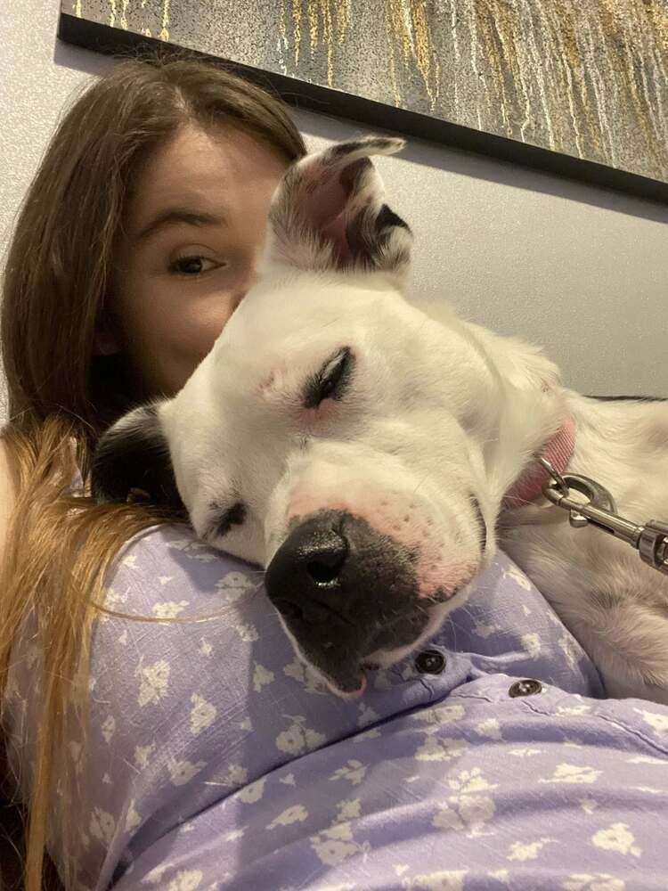 Enlarge Luna, a Adoptable mixed breed in Scott, LA image 4/6