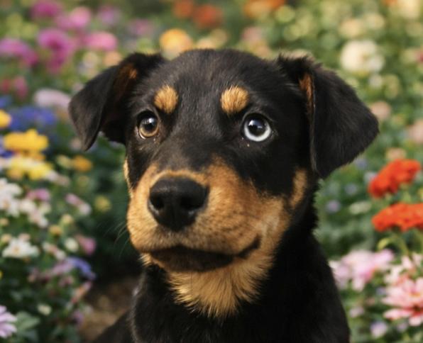 Zelda Zip — thumbnail 2