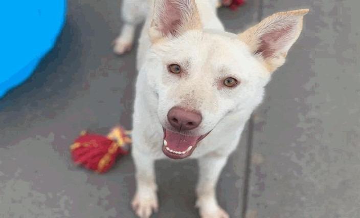 Lucy — thumbnail 2