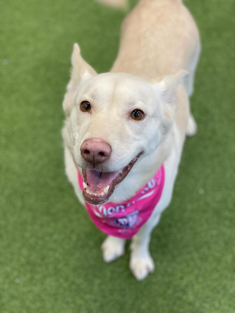 Lucy — thumbnail 3