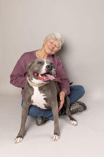 Miss Sissy (in foster), a Adoptable mixed breed in Fishers, IN image 3/3