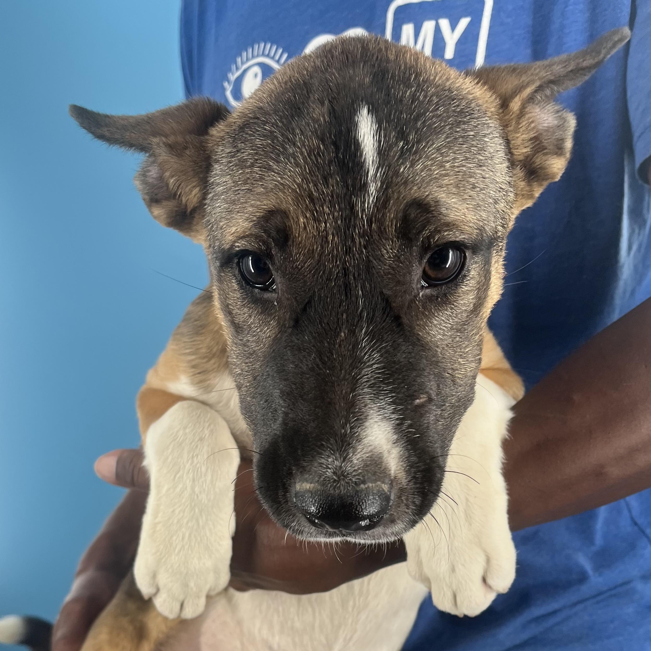 Penny - Local Sept 26-28