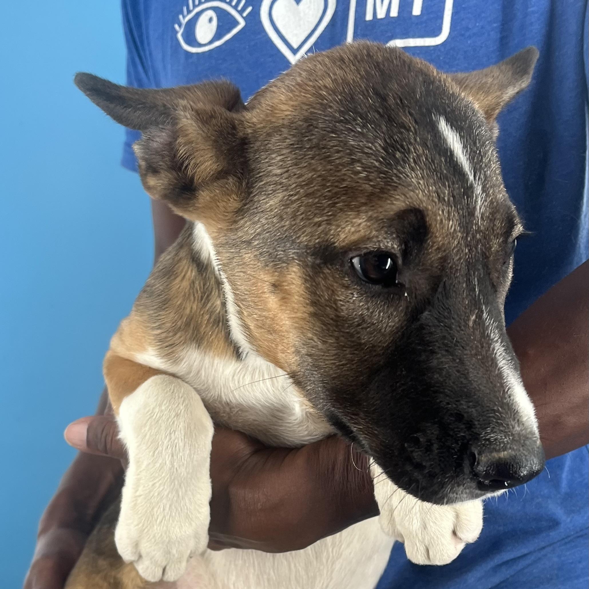 Penny - Local Sept 26-28