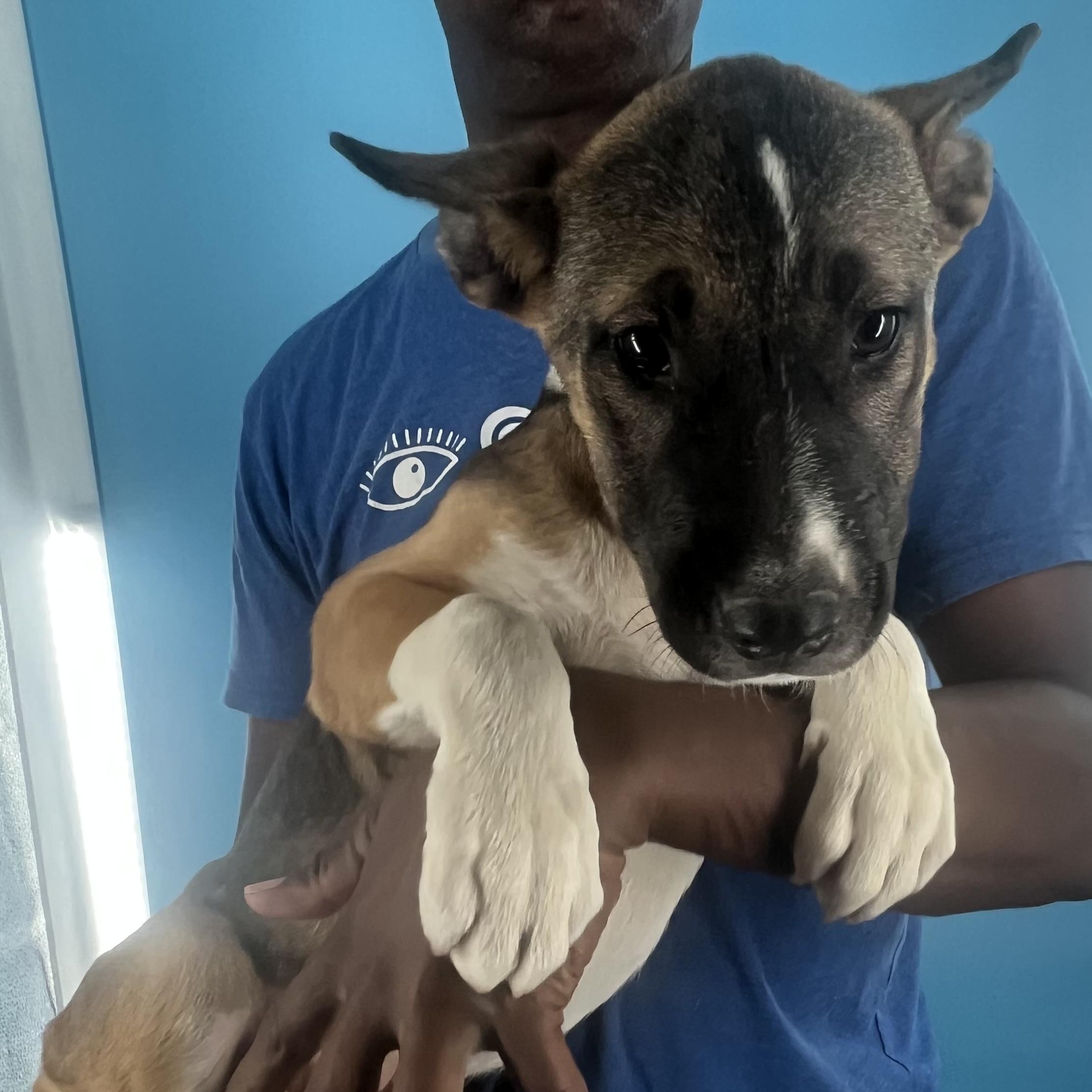Penny - Local August 22-24, Young Female unknown