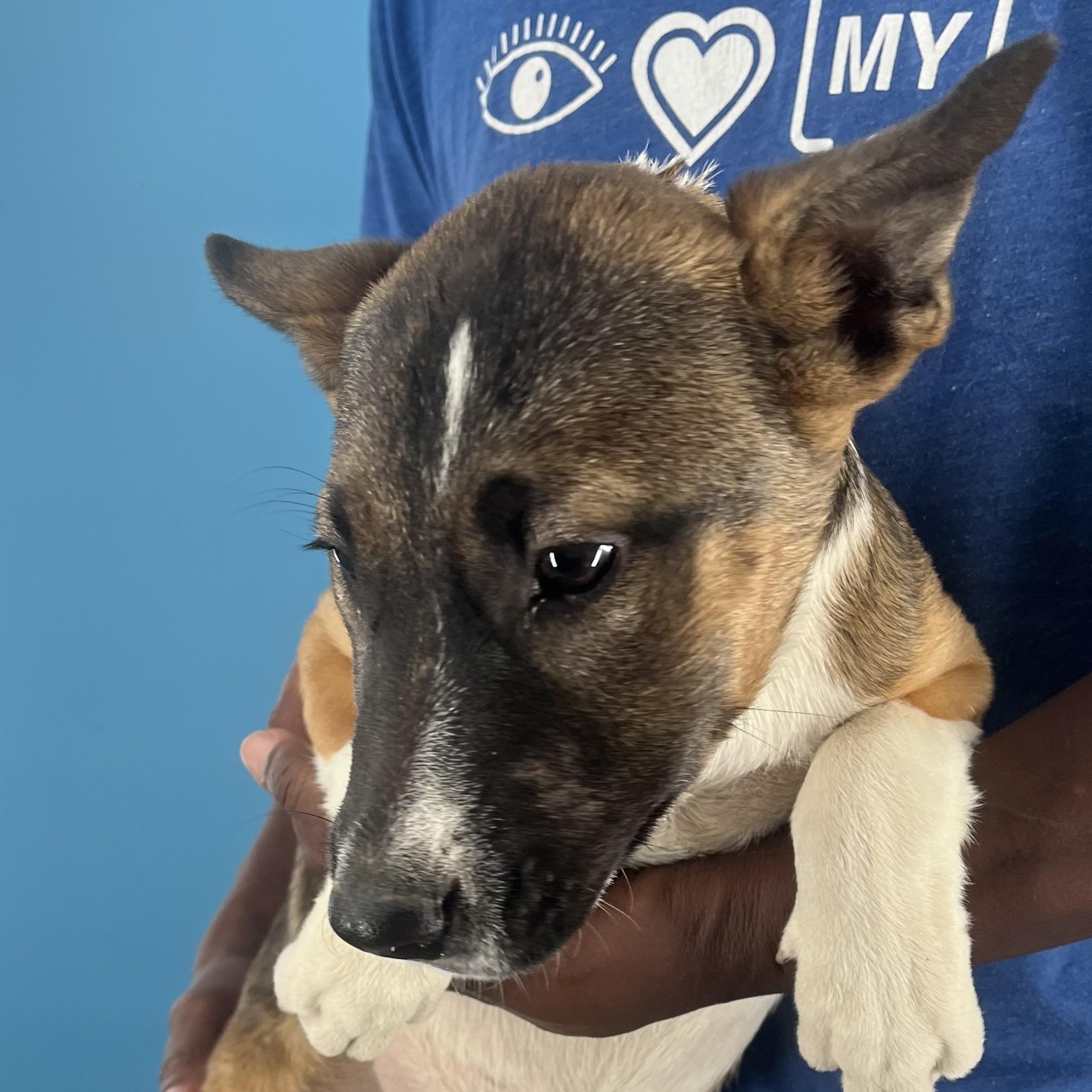 Penny - Local Sept 26-28