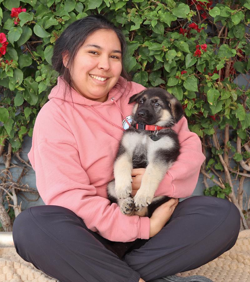 Enlarge *Nala von Lady, an adopted German Shepherd Dog in Los Angeles, CA image 2/4