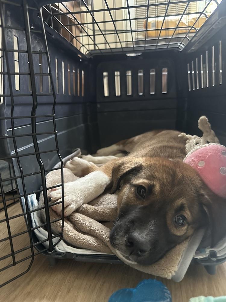 Loverboy thumbnail 2