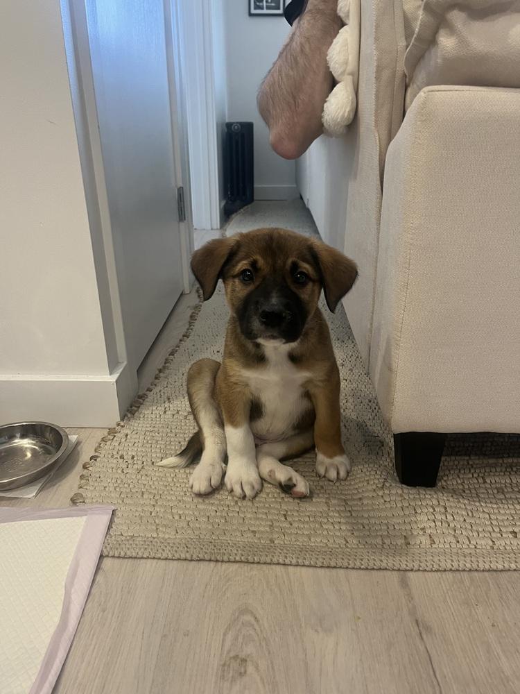 Loverboy thumbnail 5