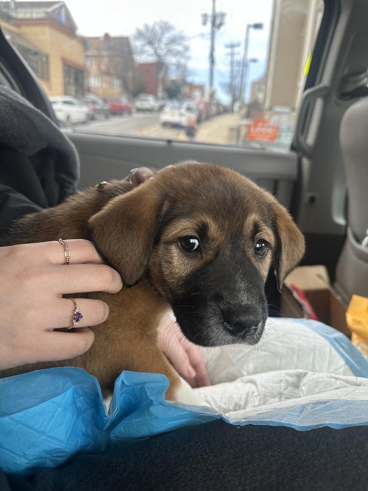 Loverboy thumbnail 6