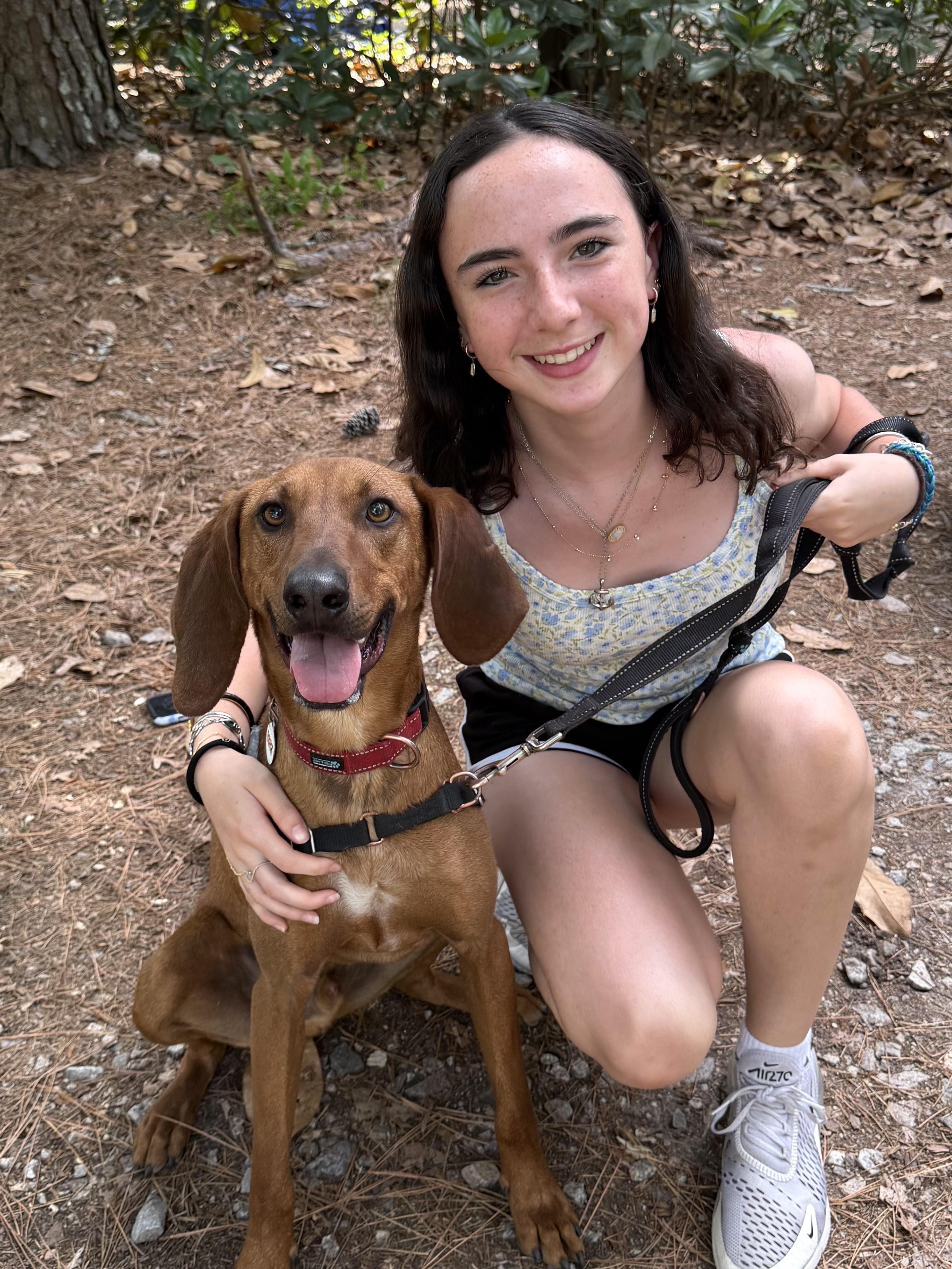 Rocky Red - AVAILABLE TO FOSTER OR ADOPT, an adoptable Redbone Coonhound in Clayton, NC image 2/6