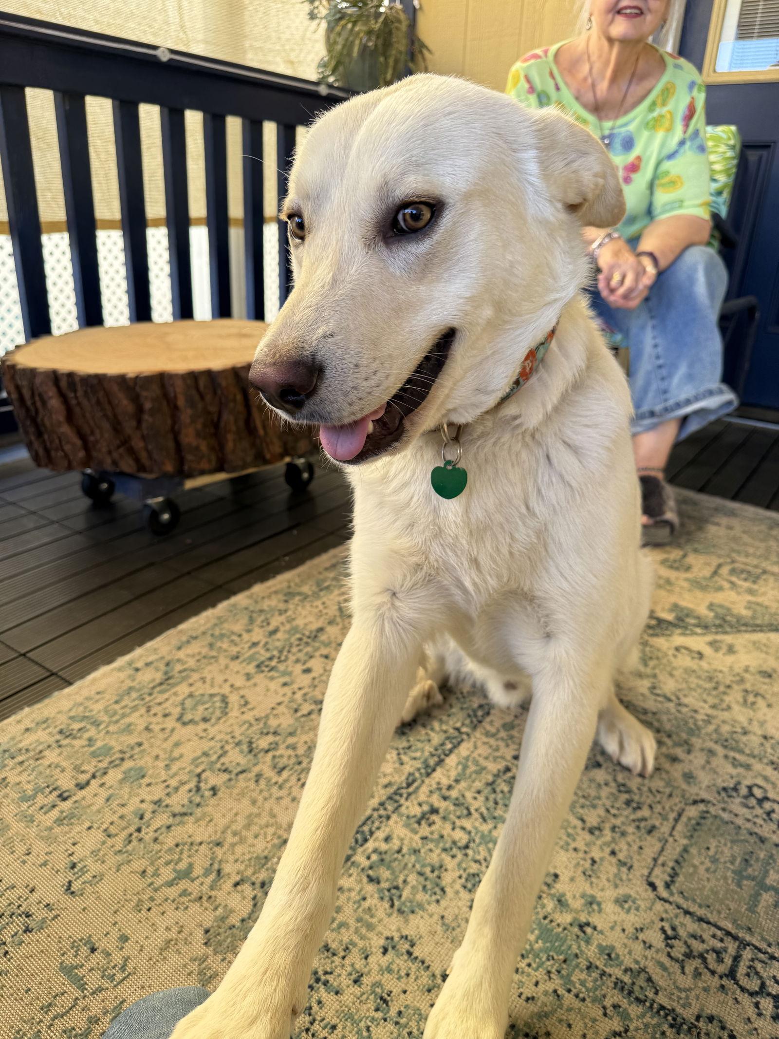 Larry — thumbnail 2