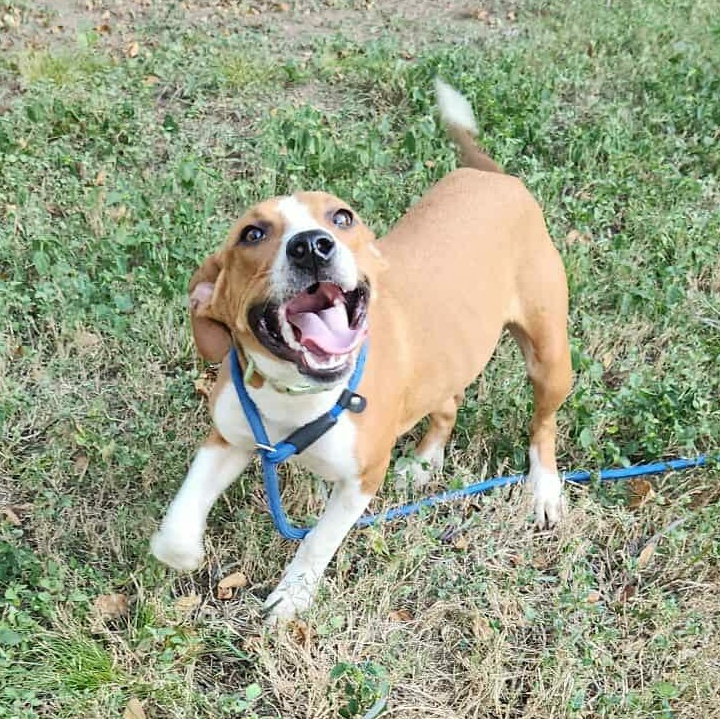 KARMA > Bleeding Heart Society