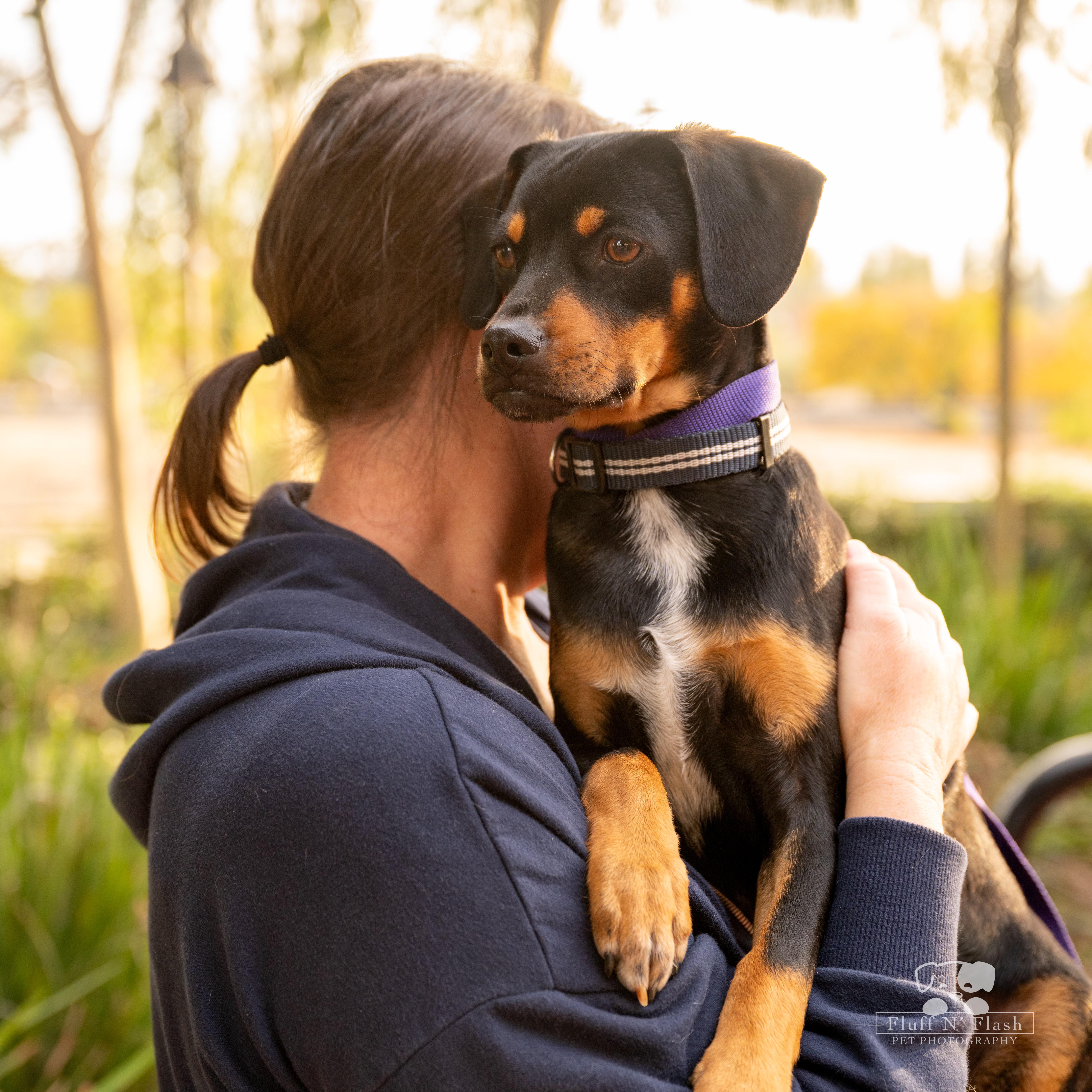 Jelly, a Adoptable mixed breed in Moreno Valley, CA image 2/3