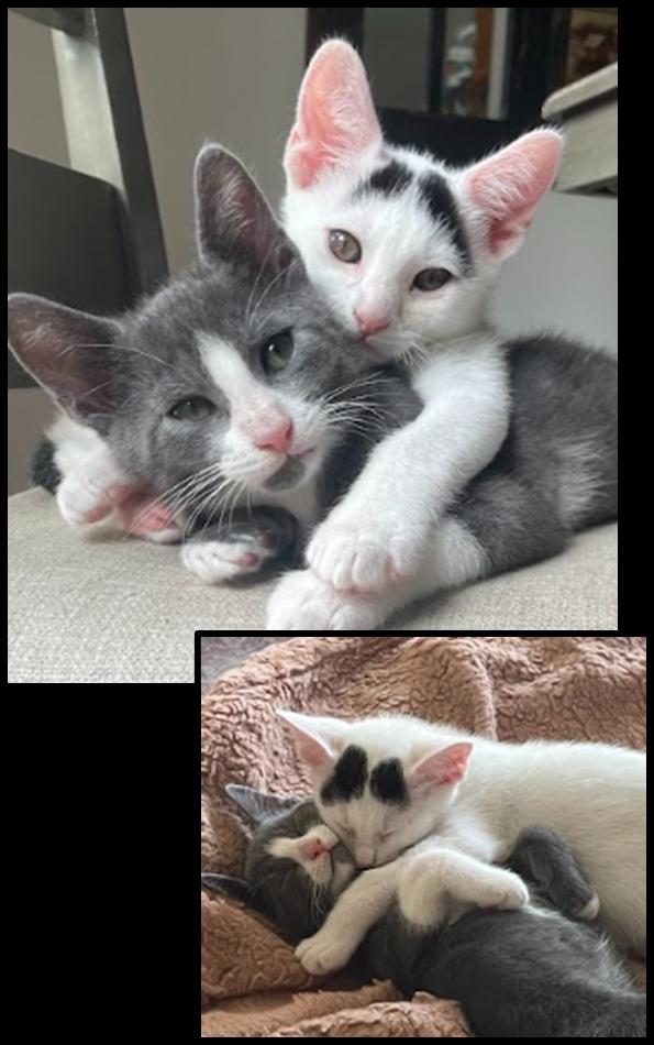 Benny and Barney