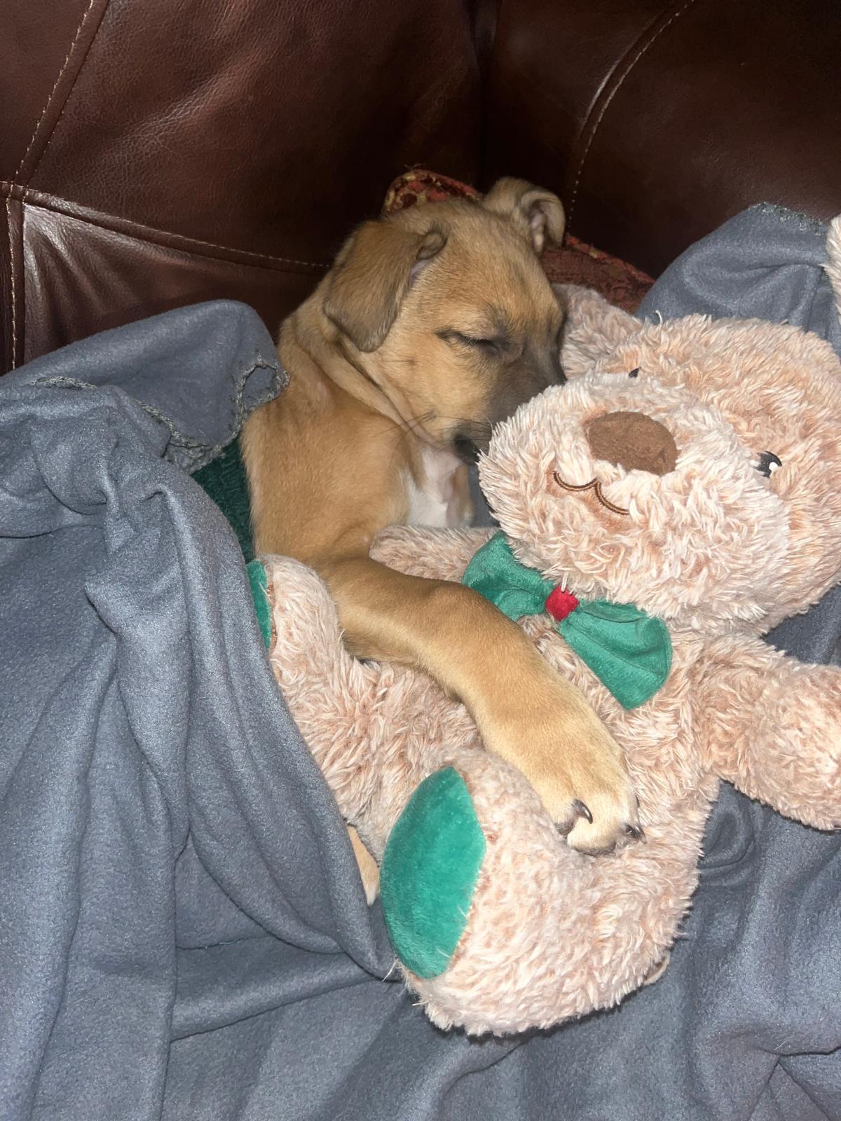 MANI (In Massachusetts)