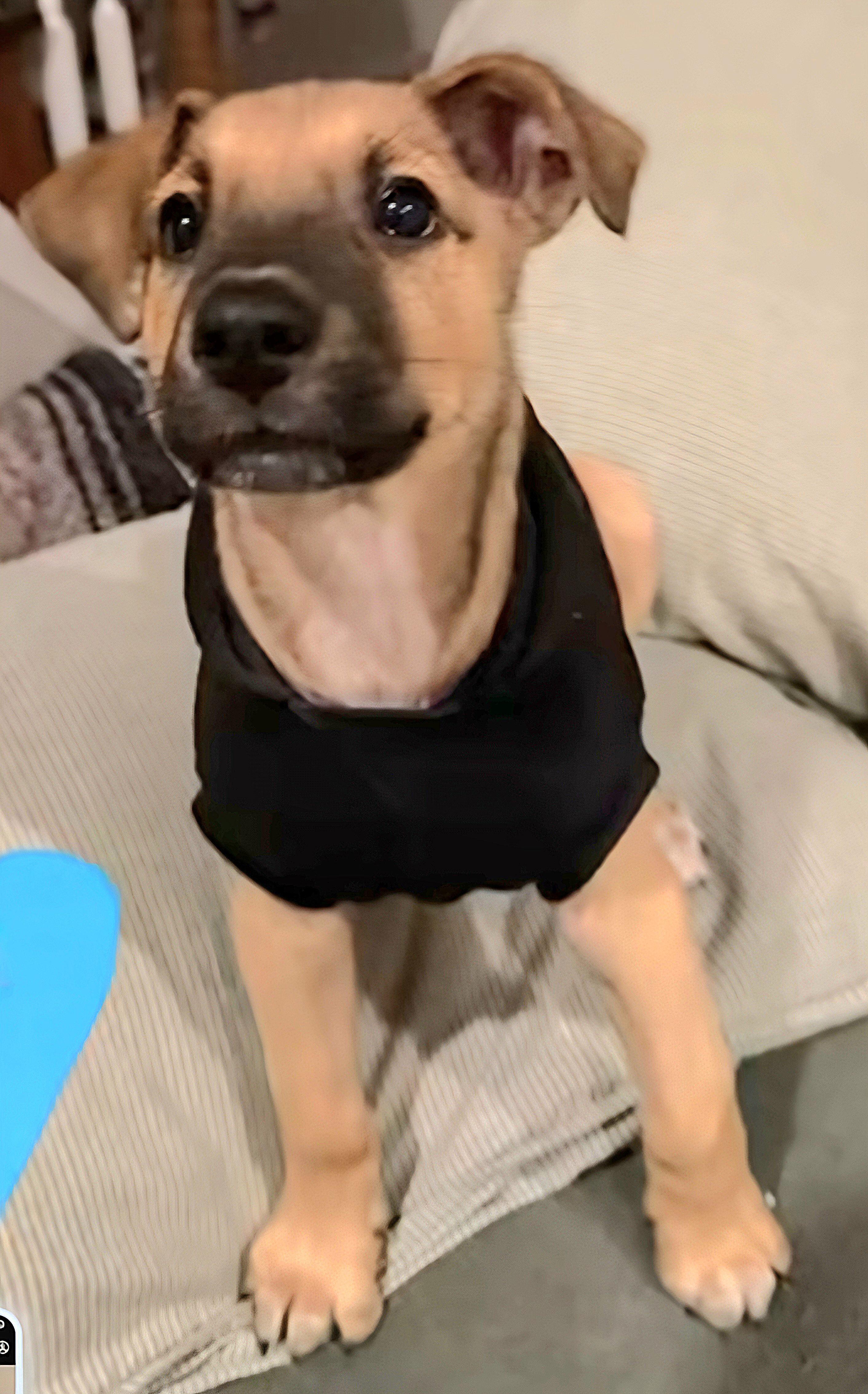 MANI (In Massachusetts)