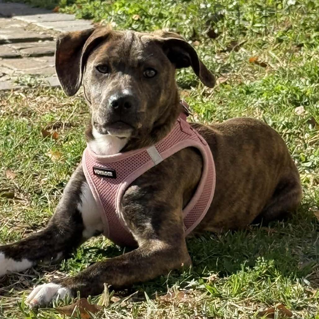 Serena — thumbnail 3