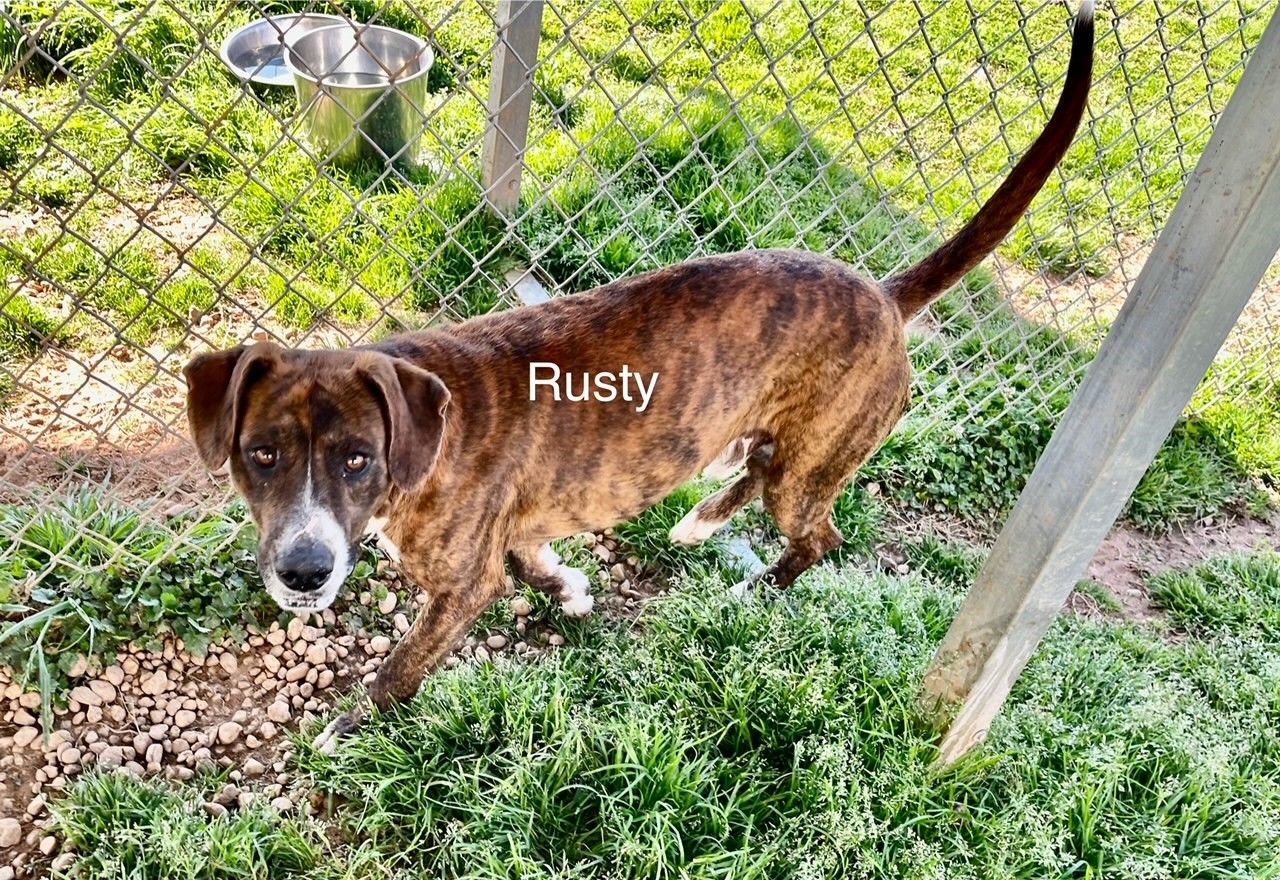 Rusty