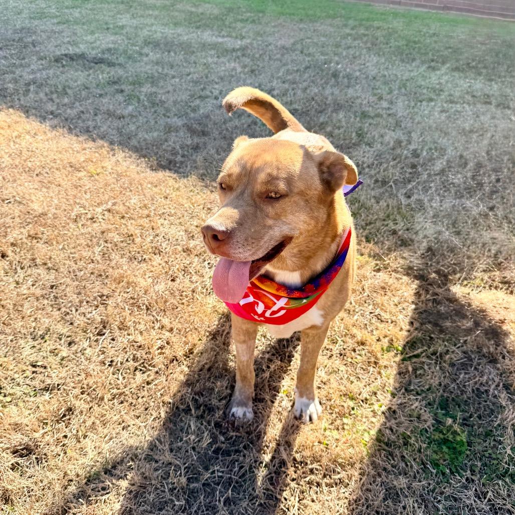 Gustav — thumbnail 4