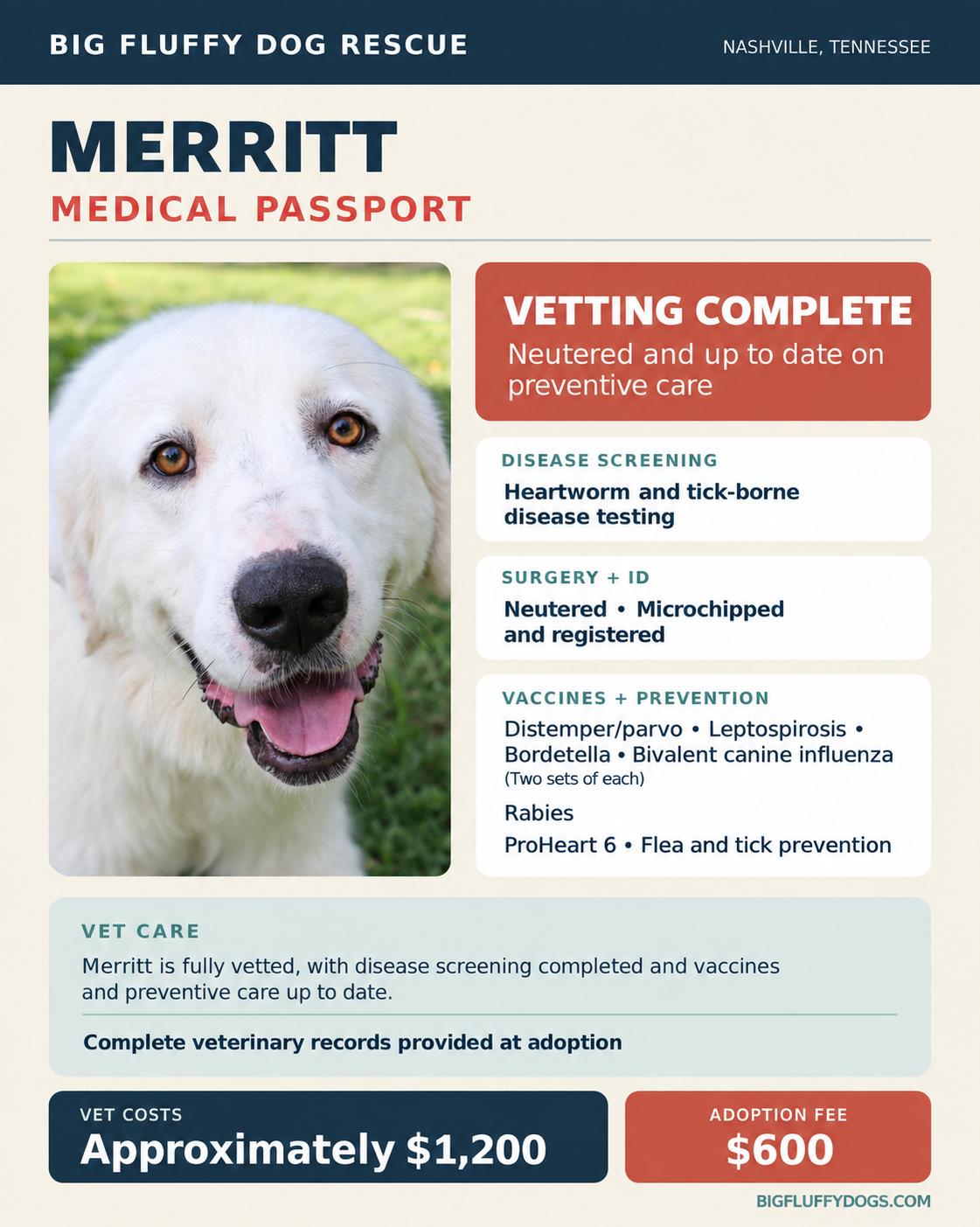 Enlarge Merritt, a Adoptable mixed breed in Oshkosh, WI image 4/4