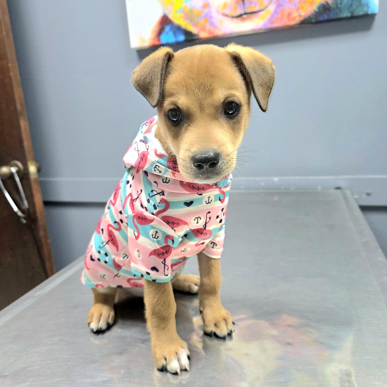 Enzo Matteo "you Found thumbnail 2