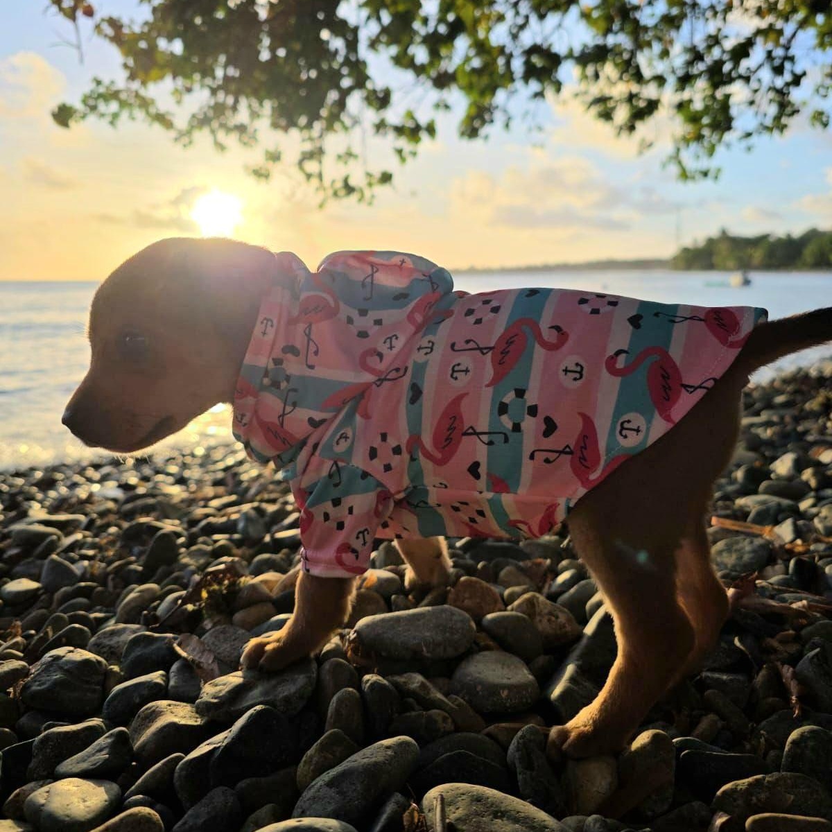 Enzo Matteo "you Found thumbnail 3