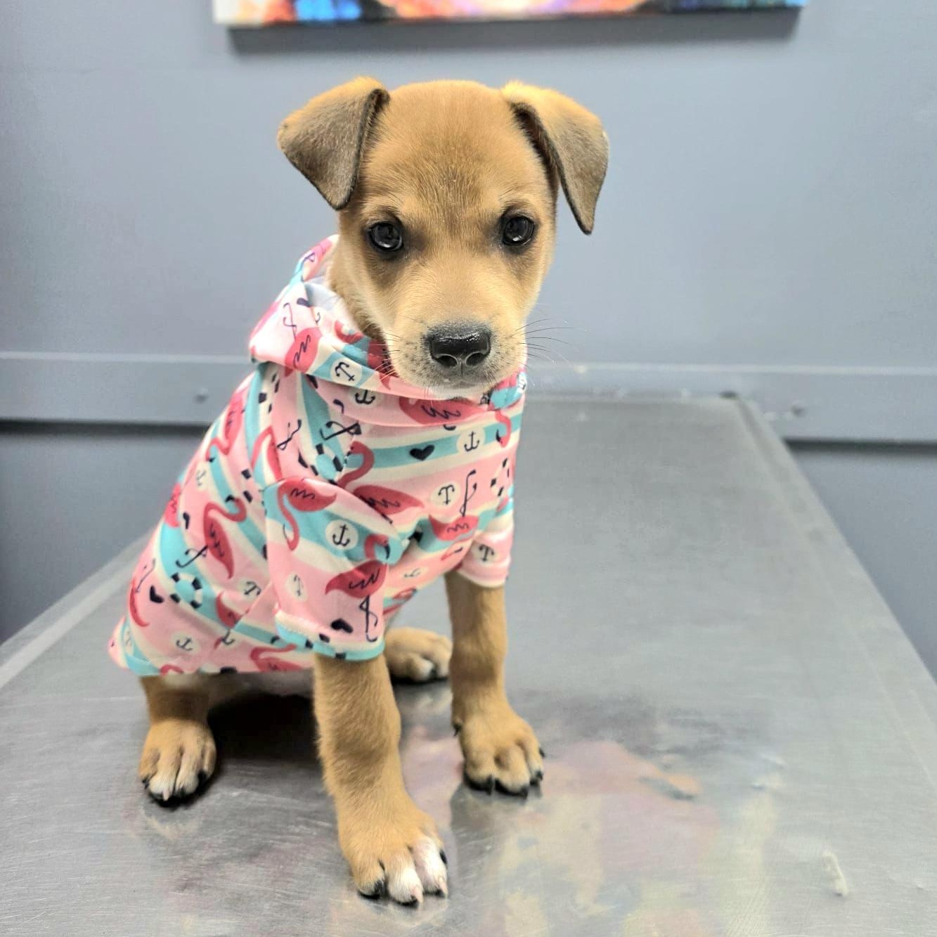 Enzo Matteo "you Found thumbnail 4