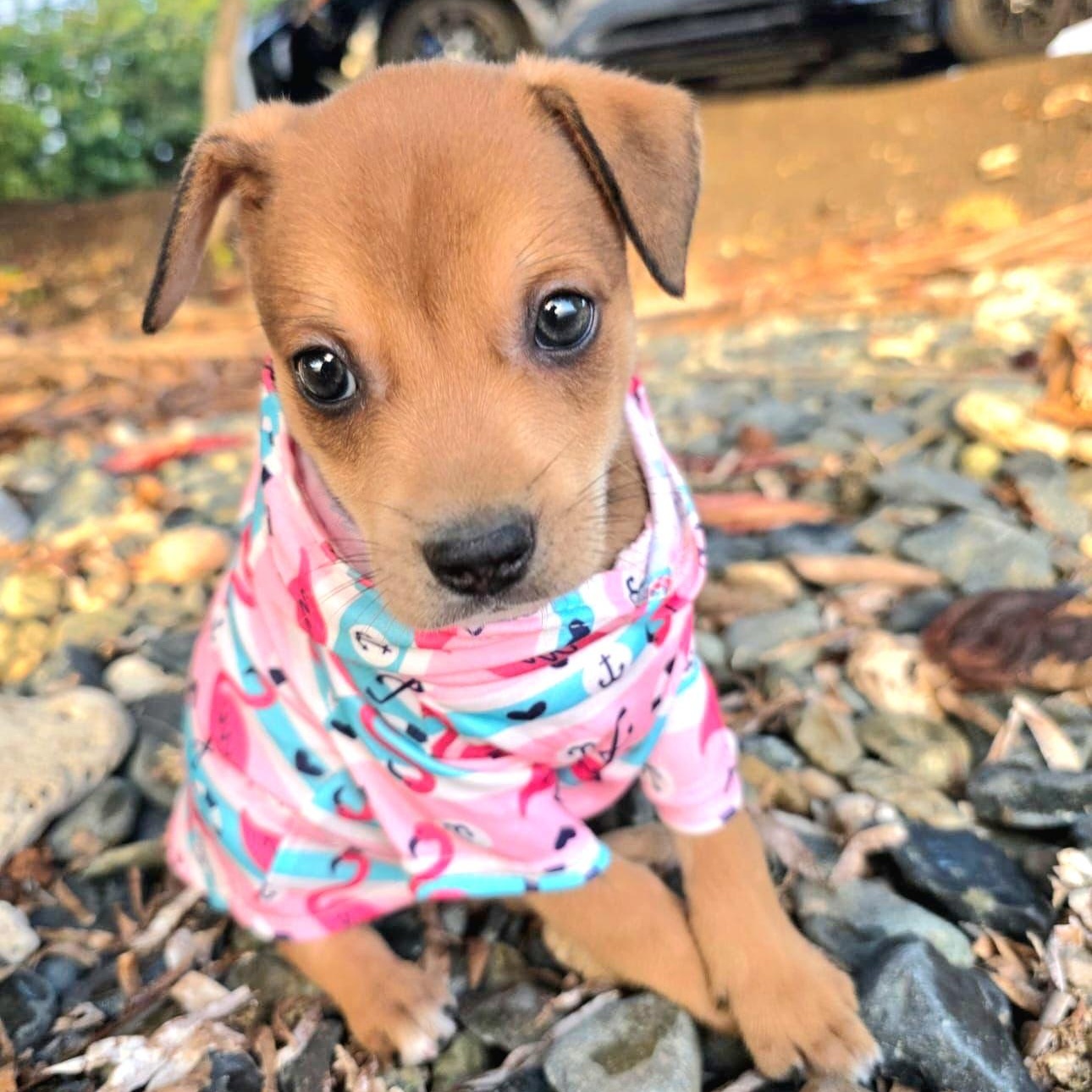 Enzo Matteo "you Found thumbnail 5