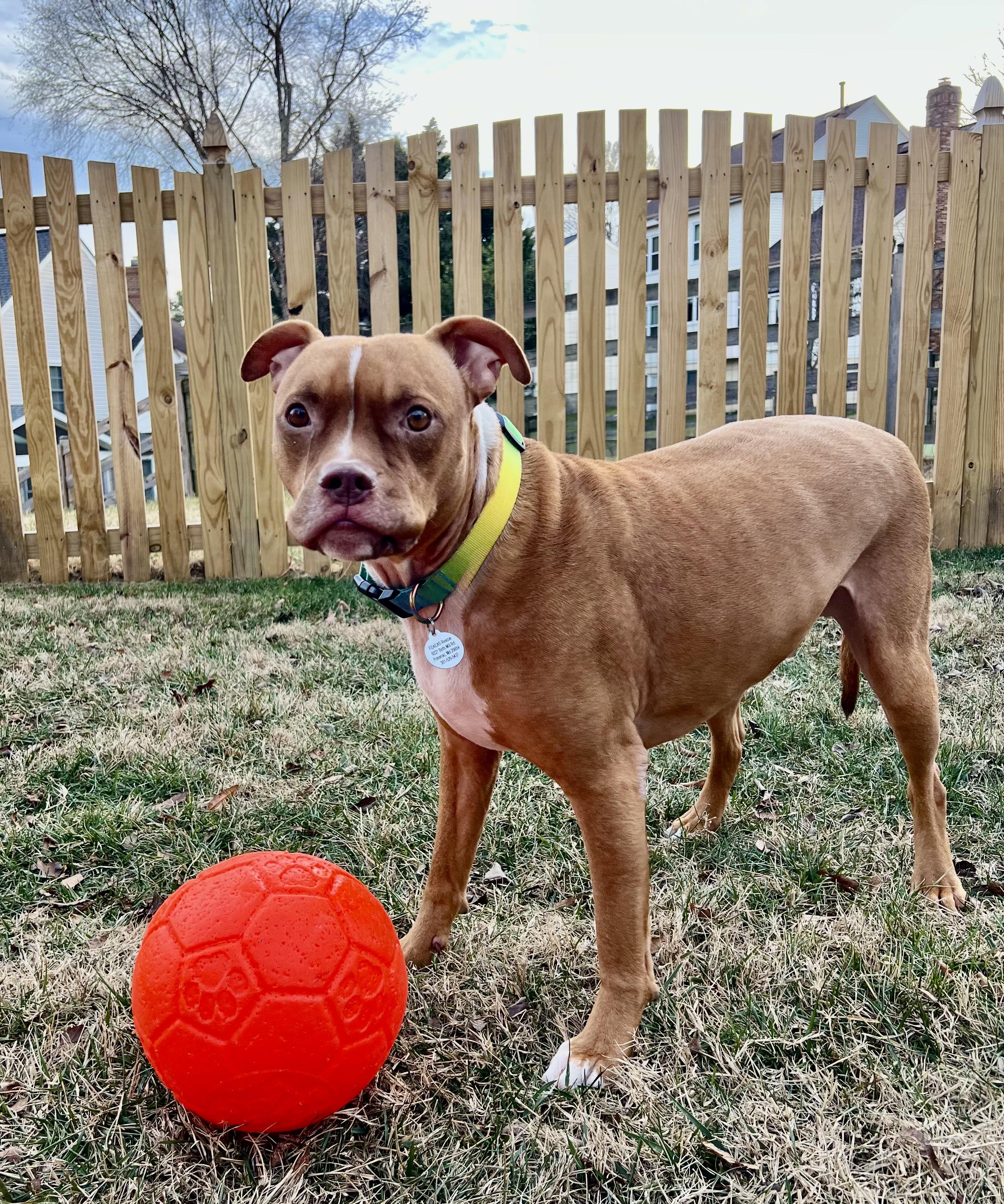 Noah Lee thumbnail 3