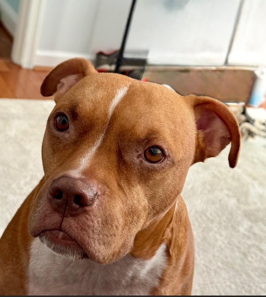 Noah Lee thumbnail 5